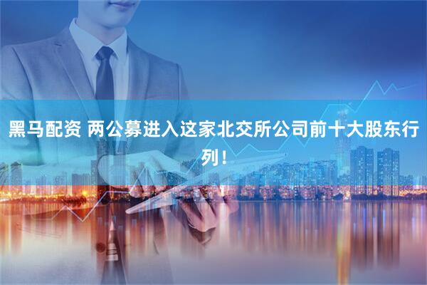 黑马配资 两公募进入这家北交所公司前十大股东行列！